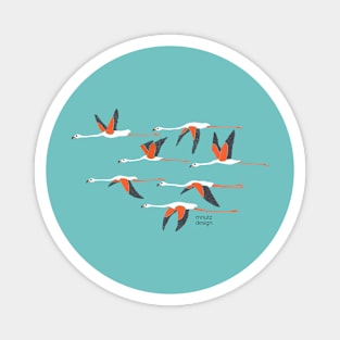 Flamingos Magnet